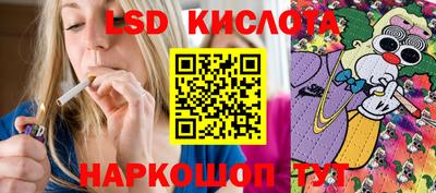амф Донской