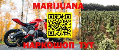 амф Донской