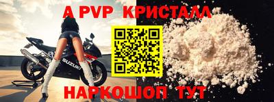 амф Донской